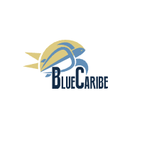 Blue-Caribe-Tours-discount-code-2026